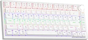 61C5t7a4H0L.__AC_SX300_SY300_QL70_FMwebp_ Review of Newmen GM326 Compact 75% Mechanical Keyboard for Gaming and Office Use