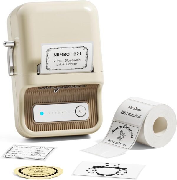 61j7Wc6GCZL._AC_SL1500_ Comprehensive review of the NIIMBOT B21 label maker for home and business