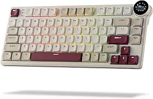 61tAaX4es1L.__AC_SX300_SY300_QL70_FMwebp_ Review of RK ROYAL KLUDGE N80 Low Profile Wireless Mechanical Keyboard Features