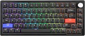 71gKfsUX3fL.__AC_SX300_SY300_QL70_FMwebp_ DrunkDeer A75 Rapid Trigger Mechanical Keyboard review 75% layout for ultimate gaming experience