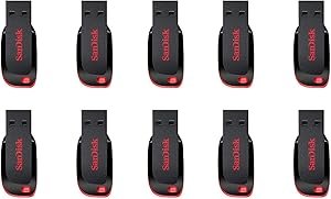 71v7Sc12ML._AC_SX300_SY300_ SanDisk Cruzer Blade USB 2.0 Flash Drive 10 Pack review for storage needs