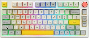 61d4la0LejL.__AC_SX300_SY300_QL70_FMwebp_ EPOMAKER TH80 Pro Gaming Keyboard Review Hot-Swappable RGB Wireless and Wired Performance Tested